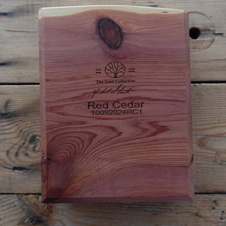 The Gant Collective – wholesale Askkopp – Indiana Röd Ceder 4-Plats Cigar Askfat 10092024RC12