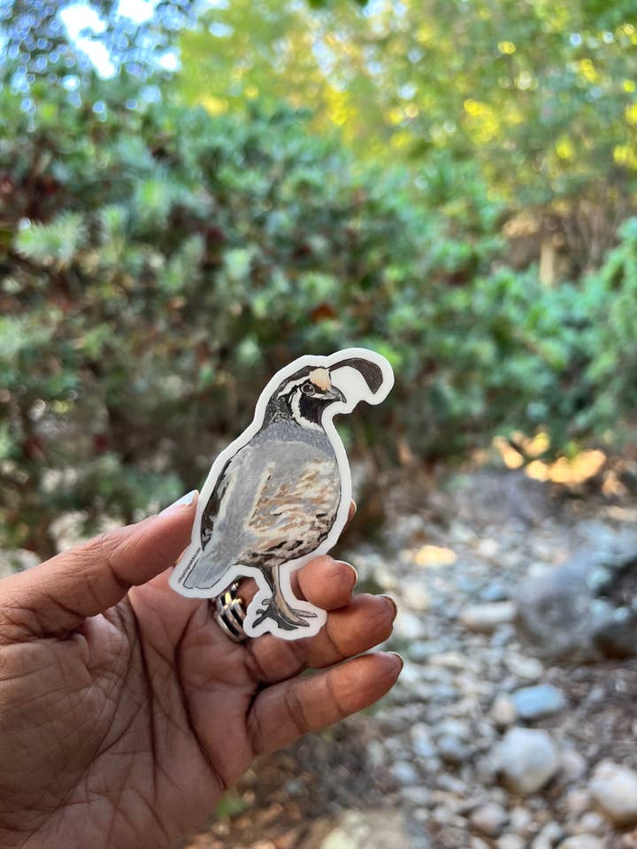 Etiqueta de codorna por atacado de PriyaOriginalsArt