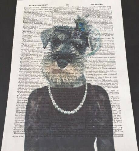 Parksmoonprints – Engroshandel Kunsttryk – Miniature Schnauzer Ordbog Print - Dyr Vægkunst1