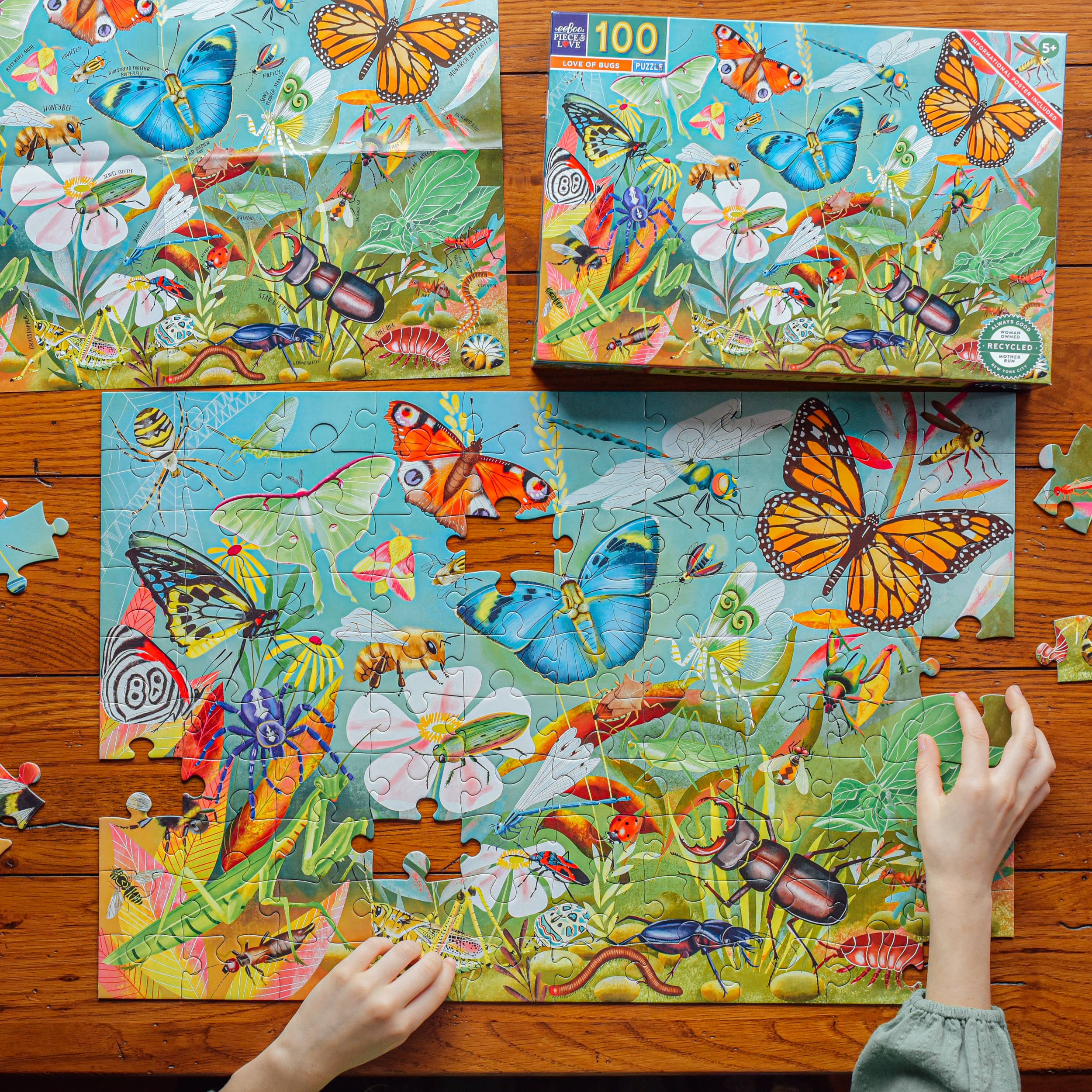 eeBoo - Wholesale Puzzle - Kids - Love of Bugs 100 Piece Puzzle4