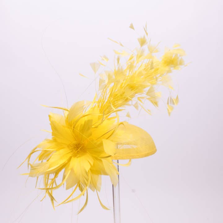 KaKyCo - Wholesale Fascinator hat – Women's - Small Base With Variety Feather On Top Fascinator | AJ780S12