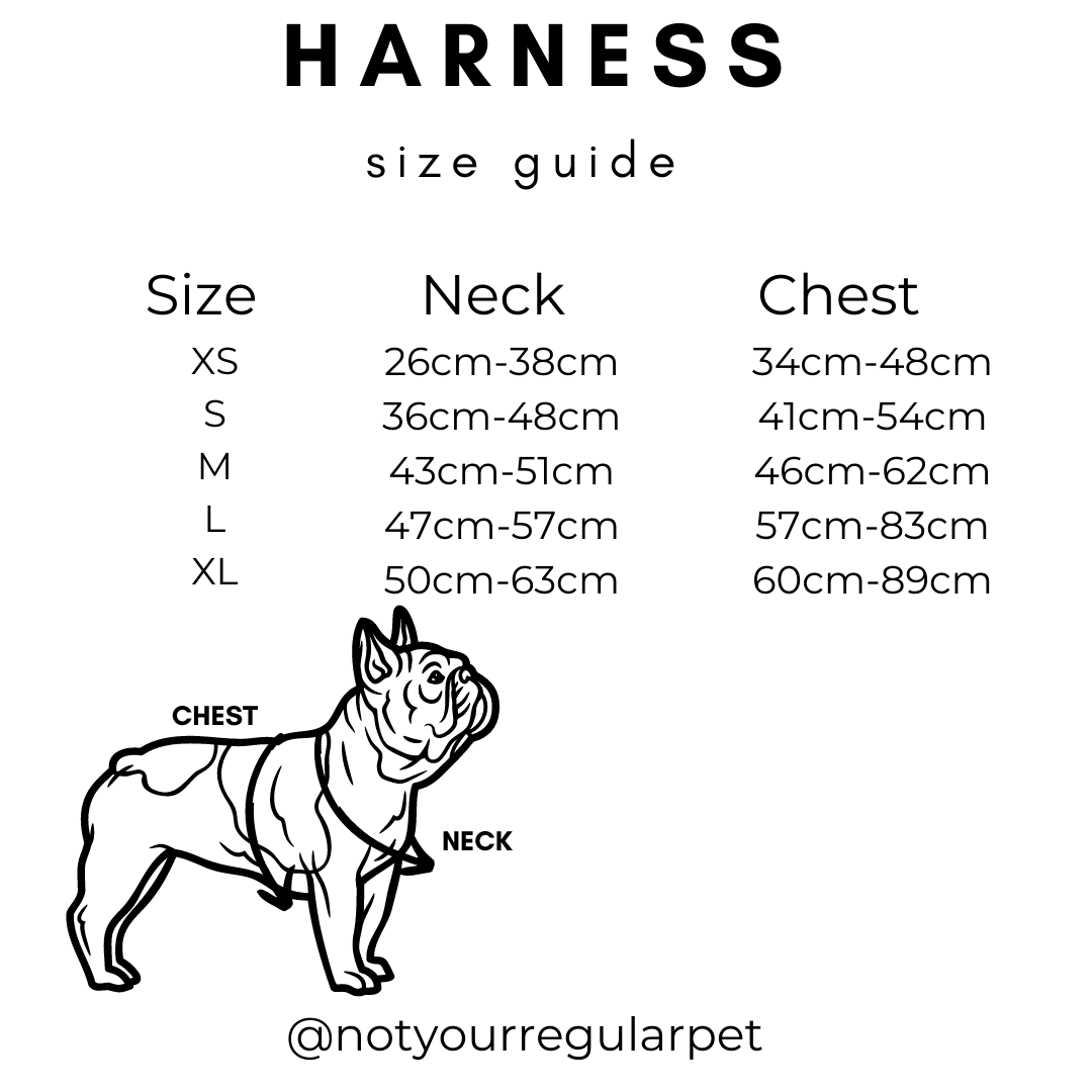 Not Your Regular Pet - Wholesale Pet Harness - Dog - Dusty Pink Teddy Bear Harness1