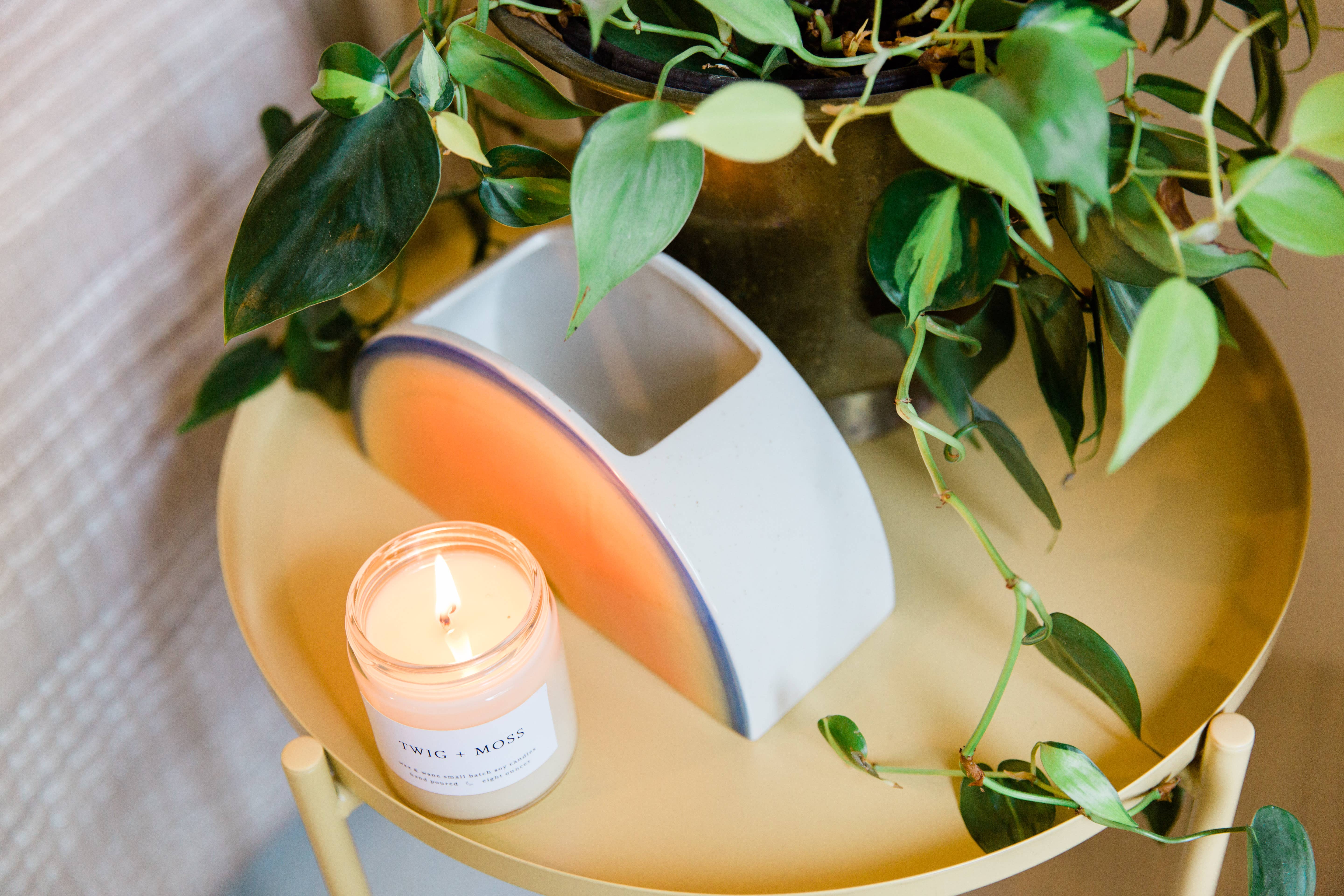 Wax and Wane Candles - Wholesale Jar/Filled Candle - Twig + Moss Modern Soy Candle11