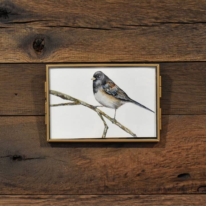 Impression aquarelle Junco Wild Bird 4x6 pour la vente par Hadley Richards Designs