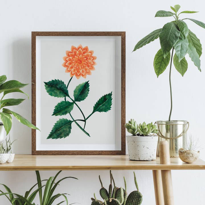 Bagged & Backed Dahlia Art Print for wholesale by Cynefn
