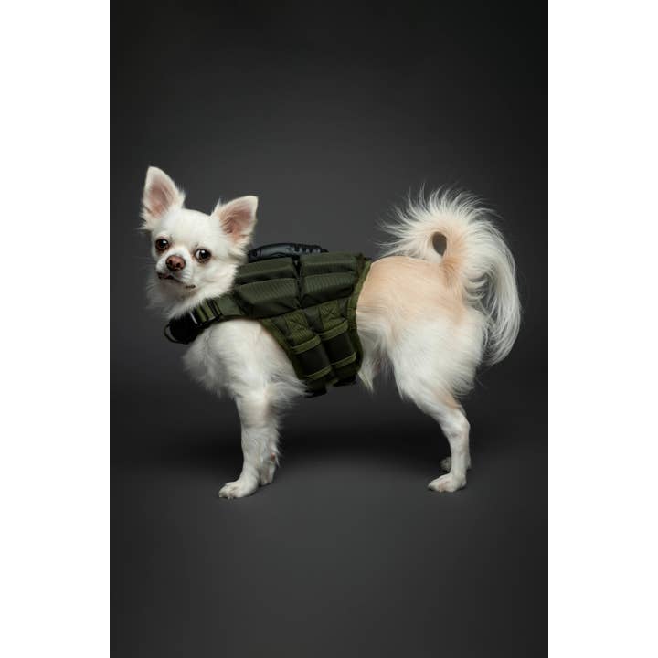 NOAH AND PAW LLC - Vente Veste – chien - Gilet de sauvetage pour chien NOAH AND PAW avec 4 mousses flottantes - Vert22