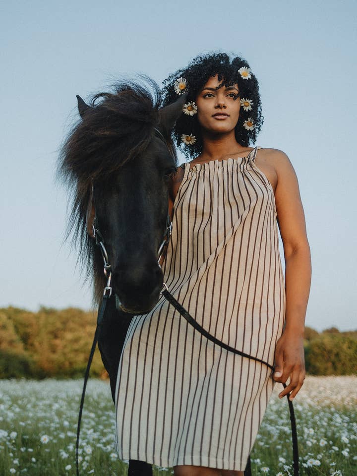 Ginny Trapeze Dress - Brown & Navy Stripe for wholesale by CONRADO®