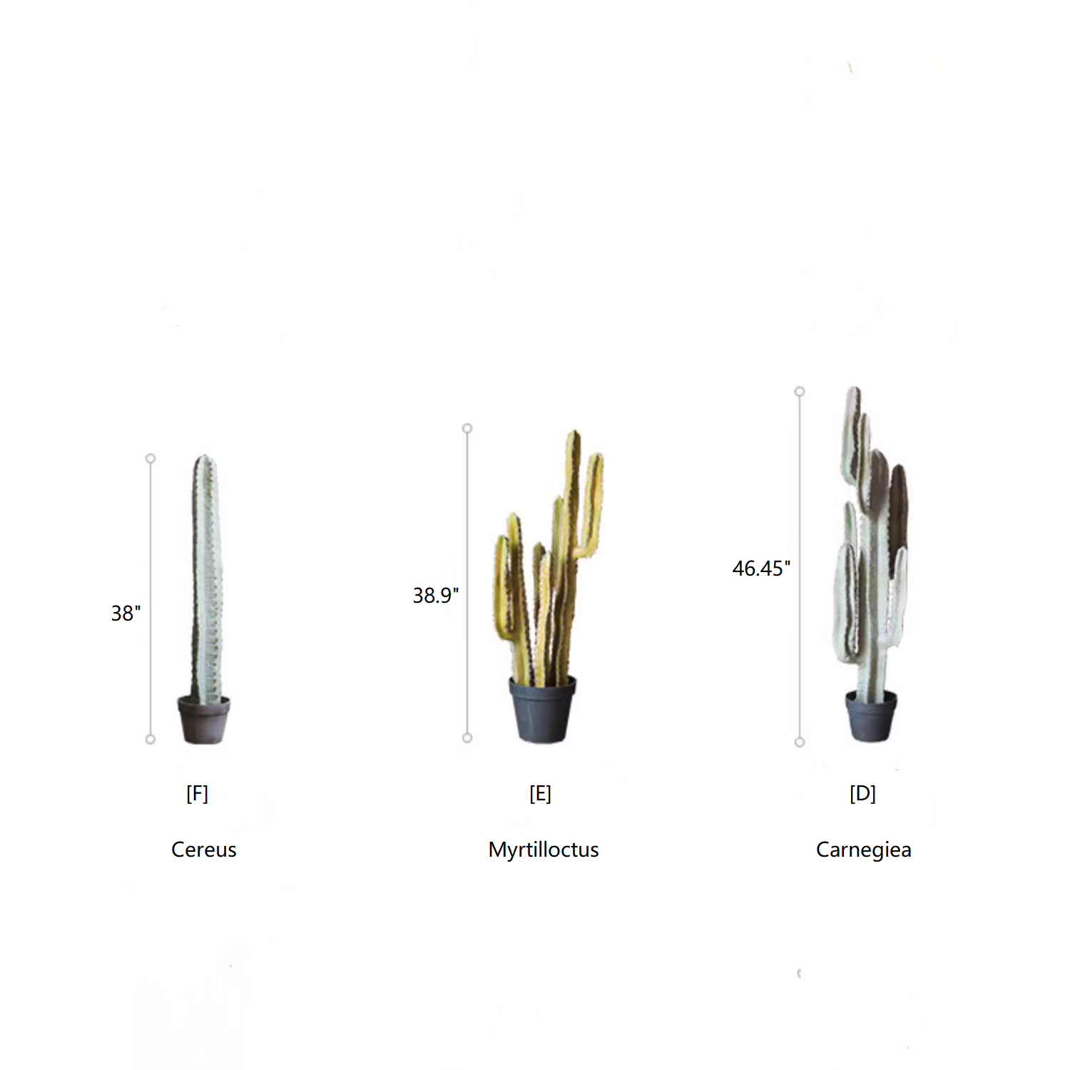 Rustic Reach - Wholesale Artificial Plant - Artificial Cactus in Pot Various Styles1