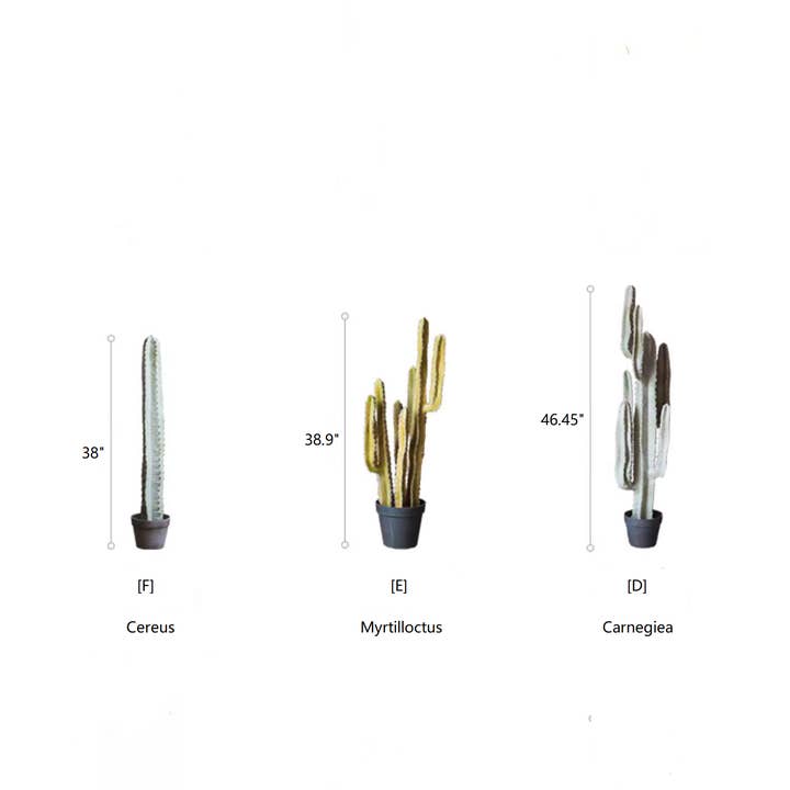 Rustic Reach - Wholesale Artificial Plant - Artificial Cactus in Pot Various Styles1