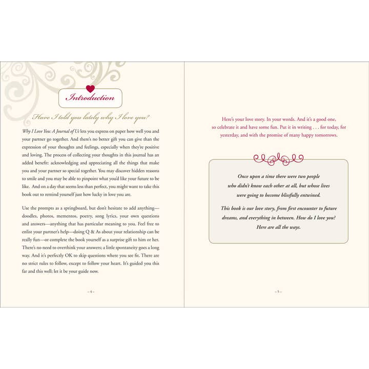 Peter Pauper Press - Wholesale Journal/Diary - Why I Love You: A Journal of Us1