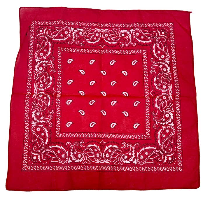 Red Paisley Bandana 20x20inch for wholesale by KBW Global Corp.