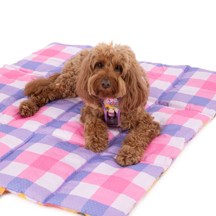 Big and Little Dogs - Wholesale Pet mat – Dog - ON-THE-GO PET MAT: Spring Fling11