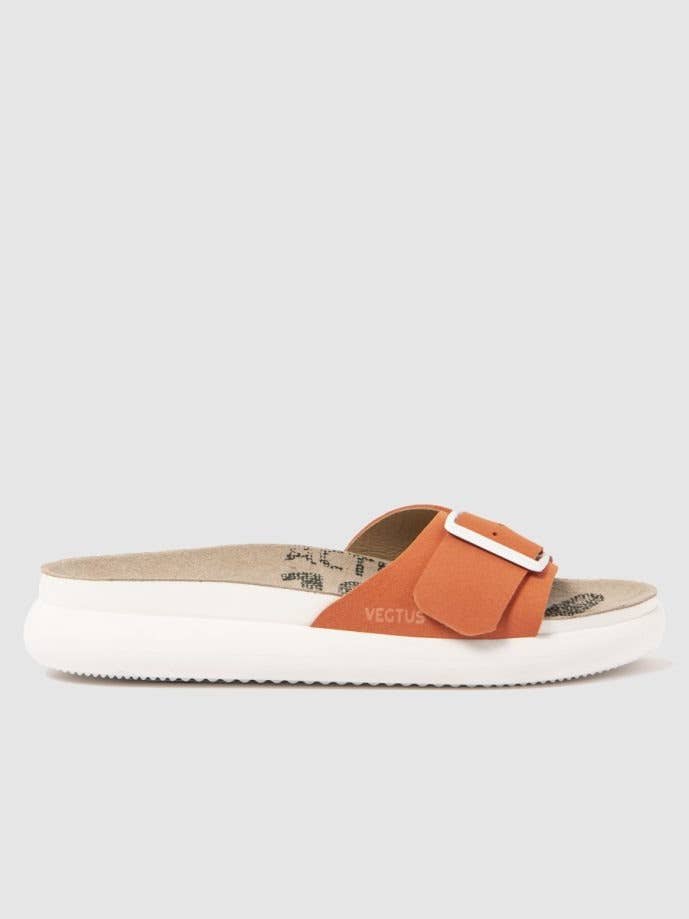 Thar koral for engroshandel hos Vegtus