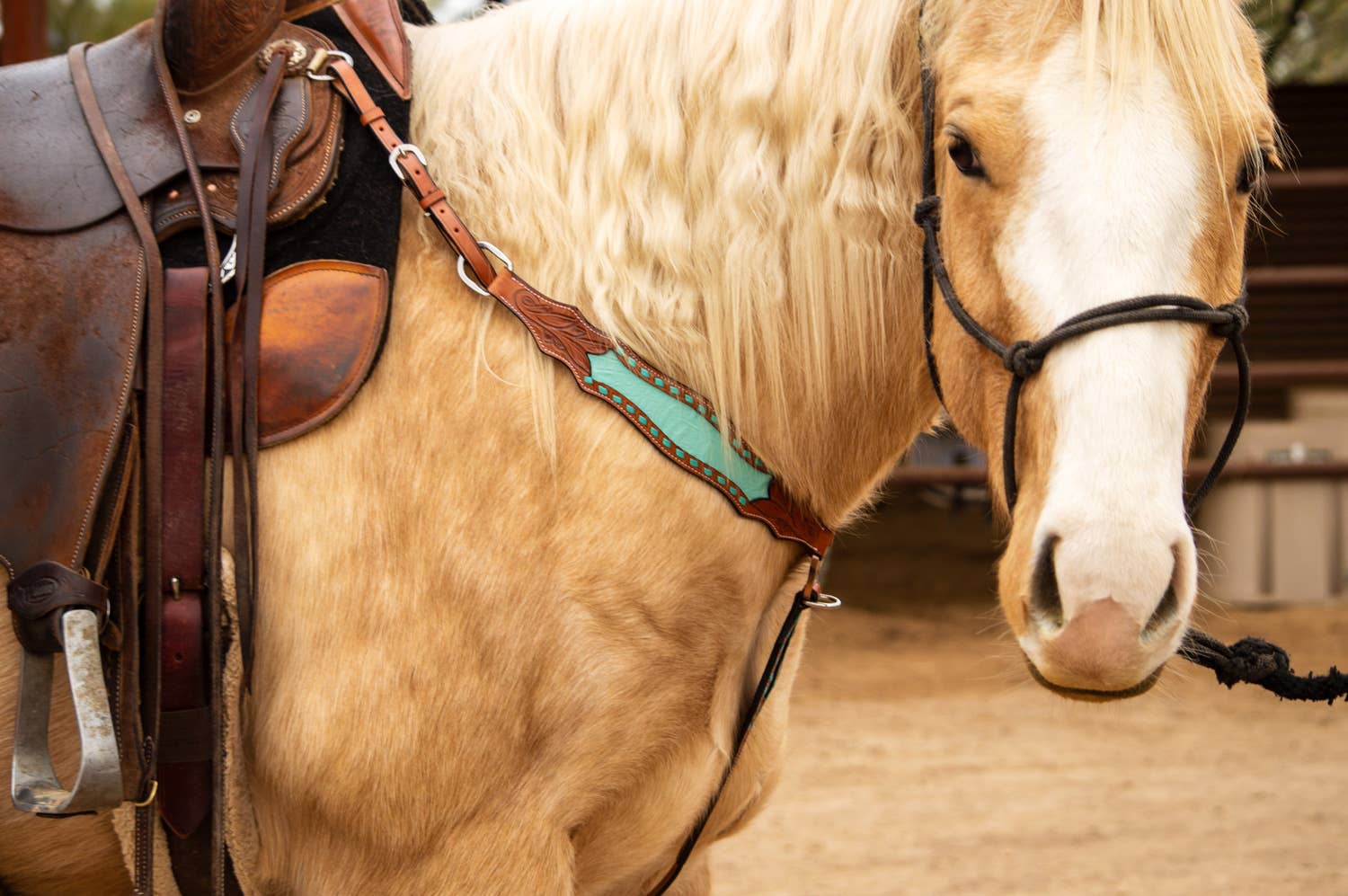 Schulz Equine - Wholesale Horseback Riding Gear - Bonanza Headstall and Breast Collar Set2