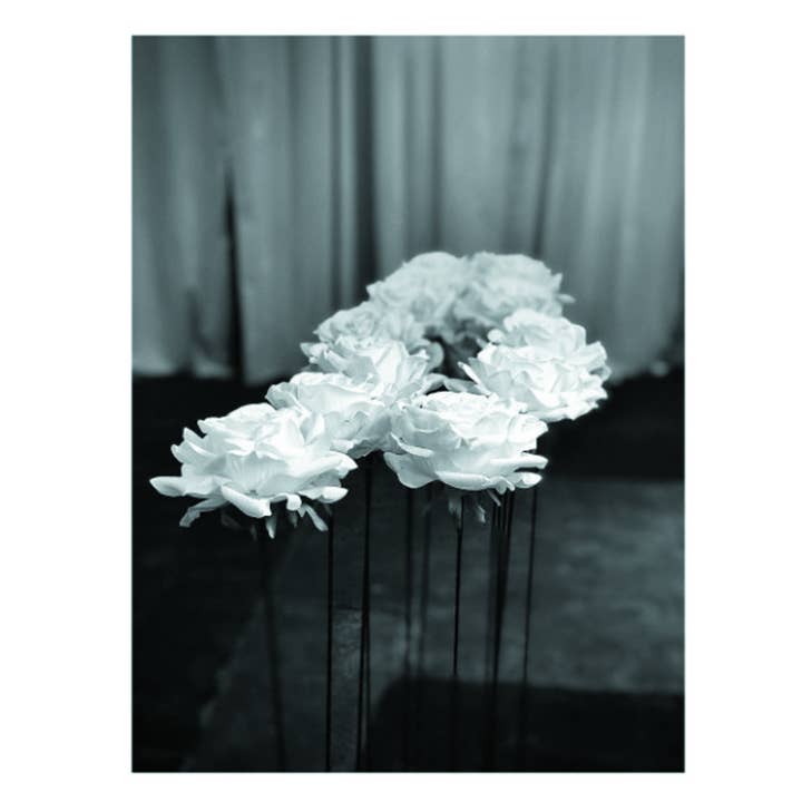 ARREDAREATMOSFERE - Wholesale Reed Diffuser - Rien de Rien Rosa perfumer woven on stem with Deospray11