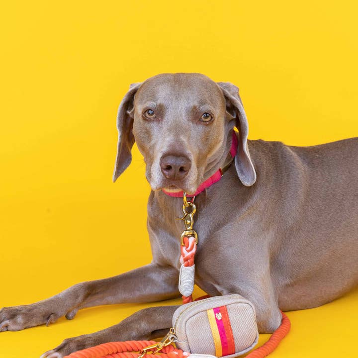 Pink Papyrus | Premium, Durable, & Stylish Dog Products – Engroshandel Hundeposedispenser – Adele Posedispenser & Godbidslomme | Affaldsposedispenser