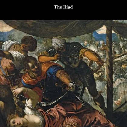 Books by splitShops - Wholesale Classics - The Iliad - Paperback