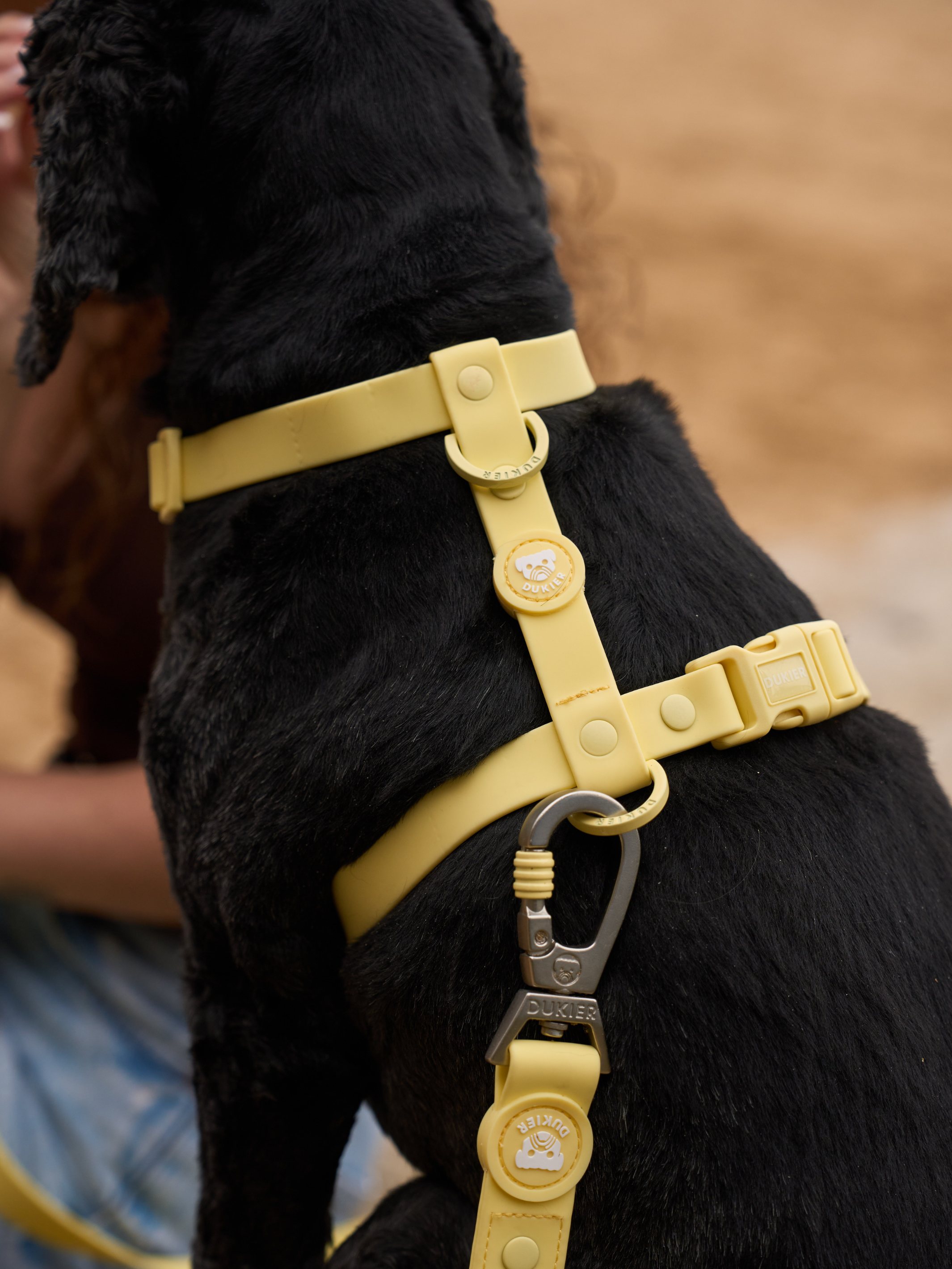 Dukier - Wholesale Pet Harness - Dog - YELLOW WATERPROOF DOG HARNESS2