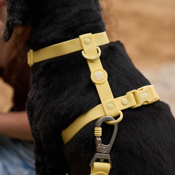 Dukier - Wholesale Pet Harness - Dog - YELLOW WATERPROOF DOG HARNESS2