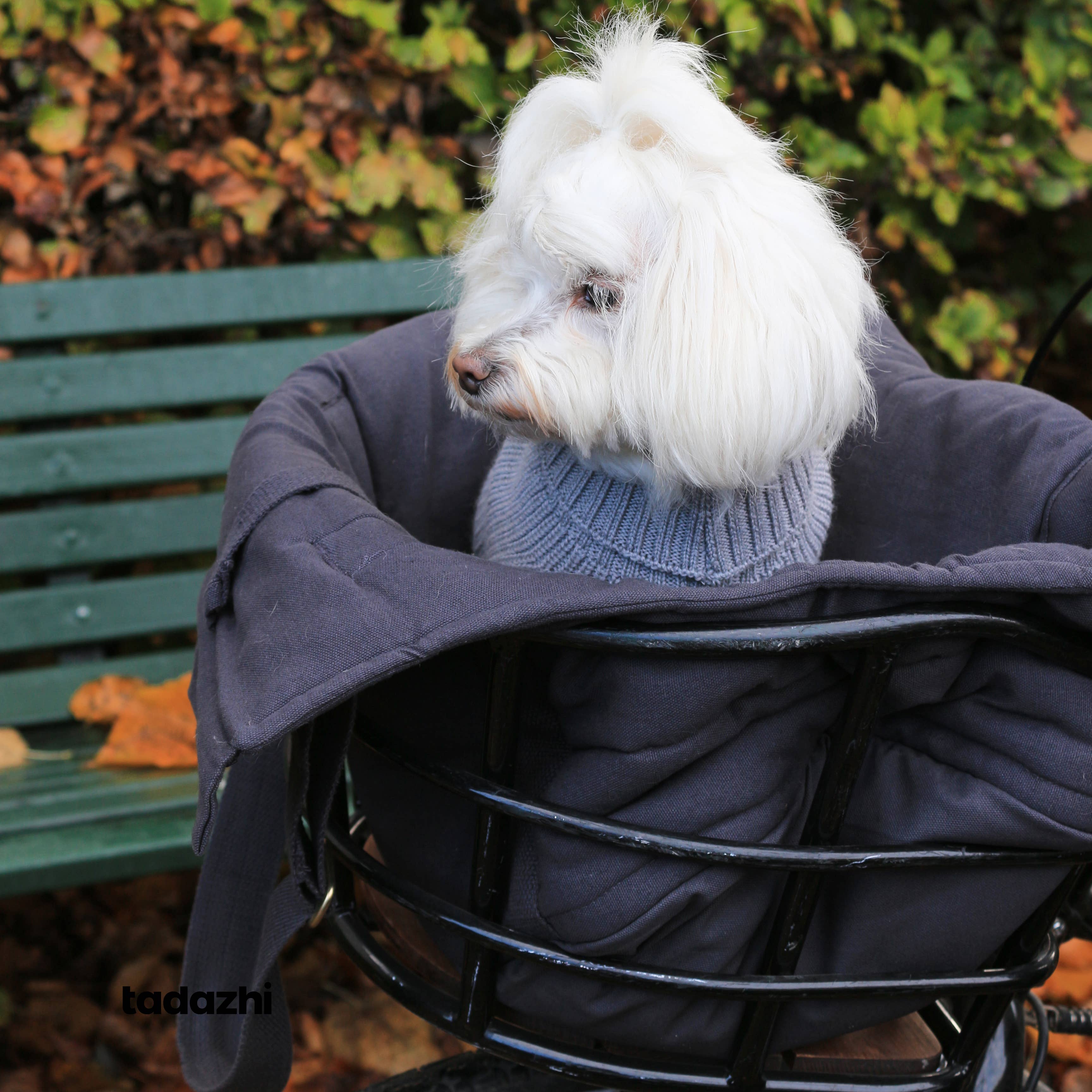 tadazhi - Wholesale Pet Carrier - Dog - RIO Dog carrier bag Warm grey1