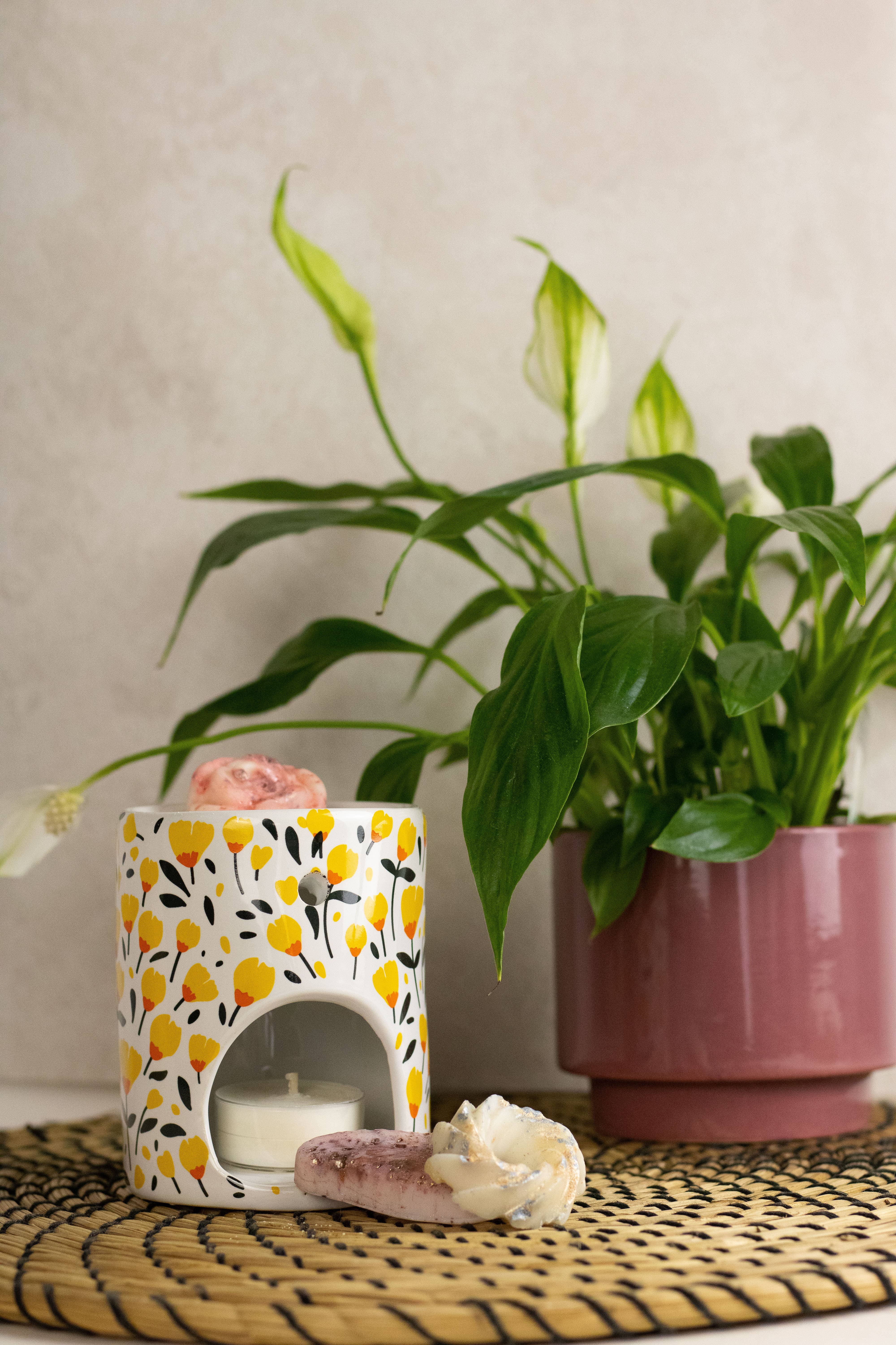 Les Bougies de Léa - Wholesale Wax Melt - Cherry Blossom Fondant6