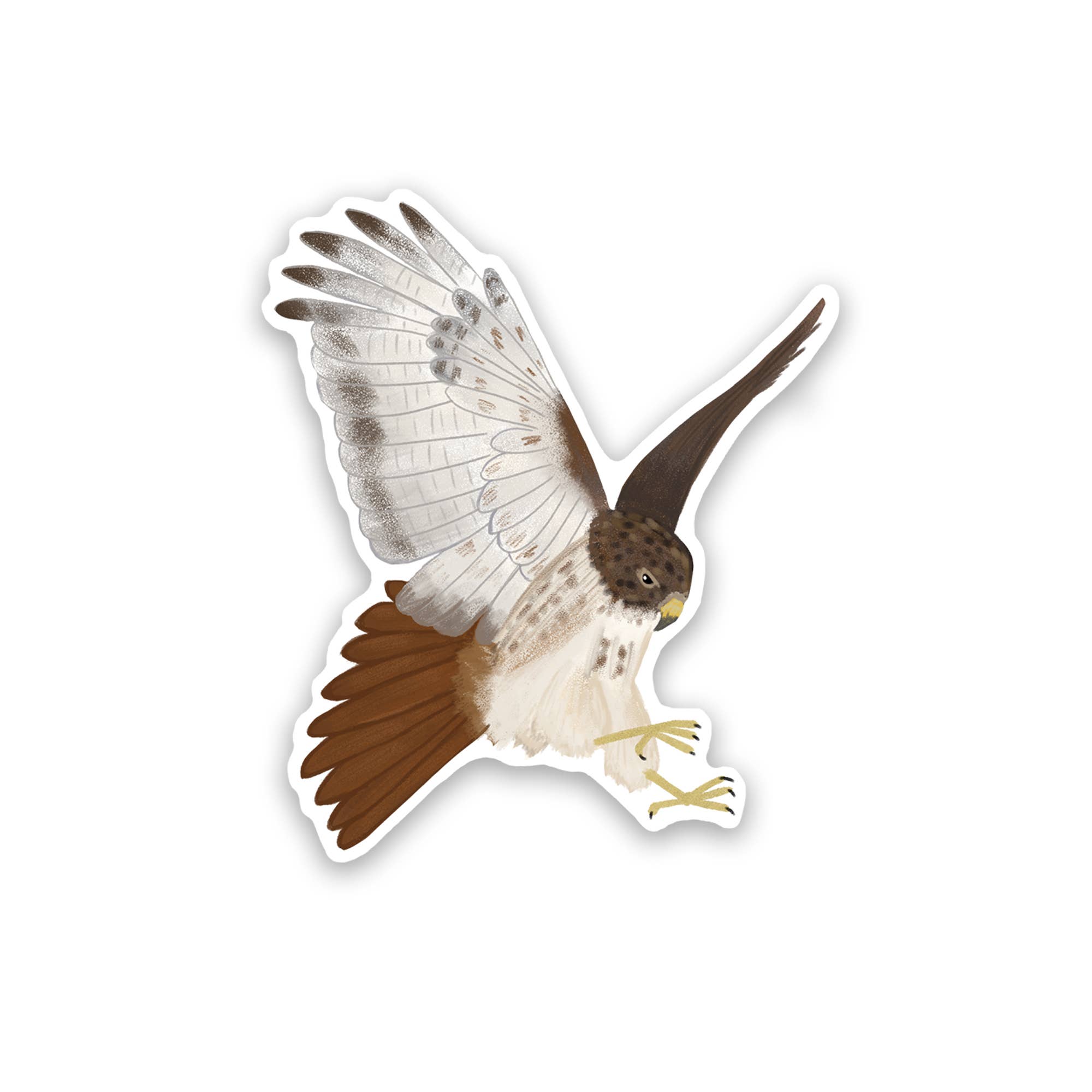 Proper Wolf - Wholesale Sticker - Red-Tailed Hawk Vinyl Sticker Decal0
