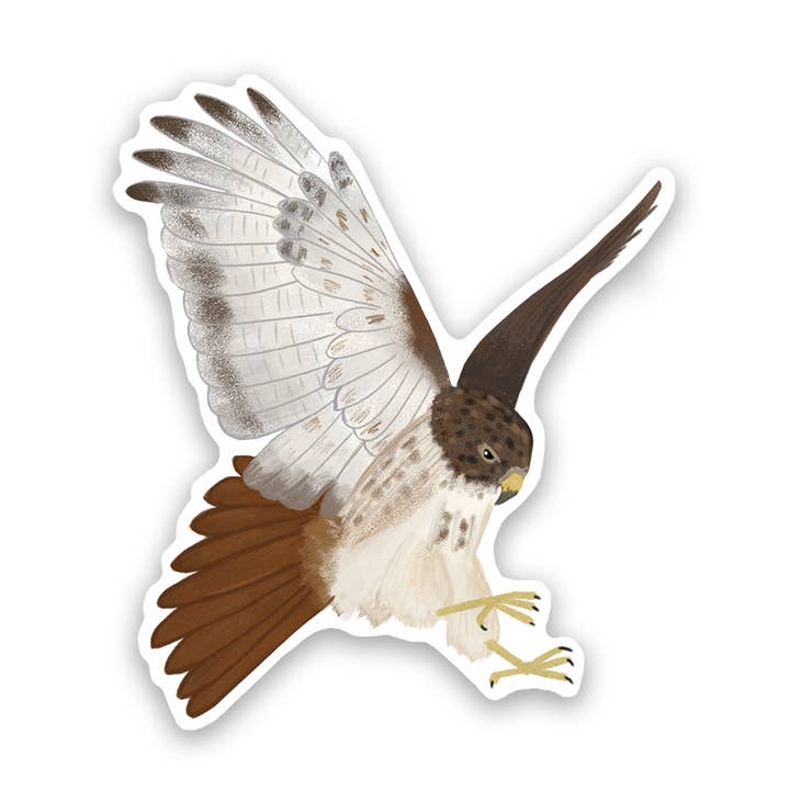 Proper Wolf - Wholesale Sticker - Red-Tailed Hawk Vinyl Sticker Decal0
