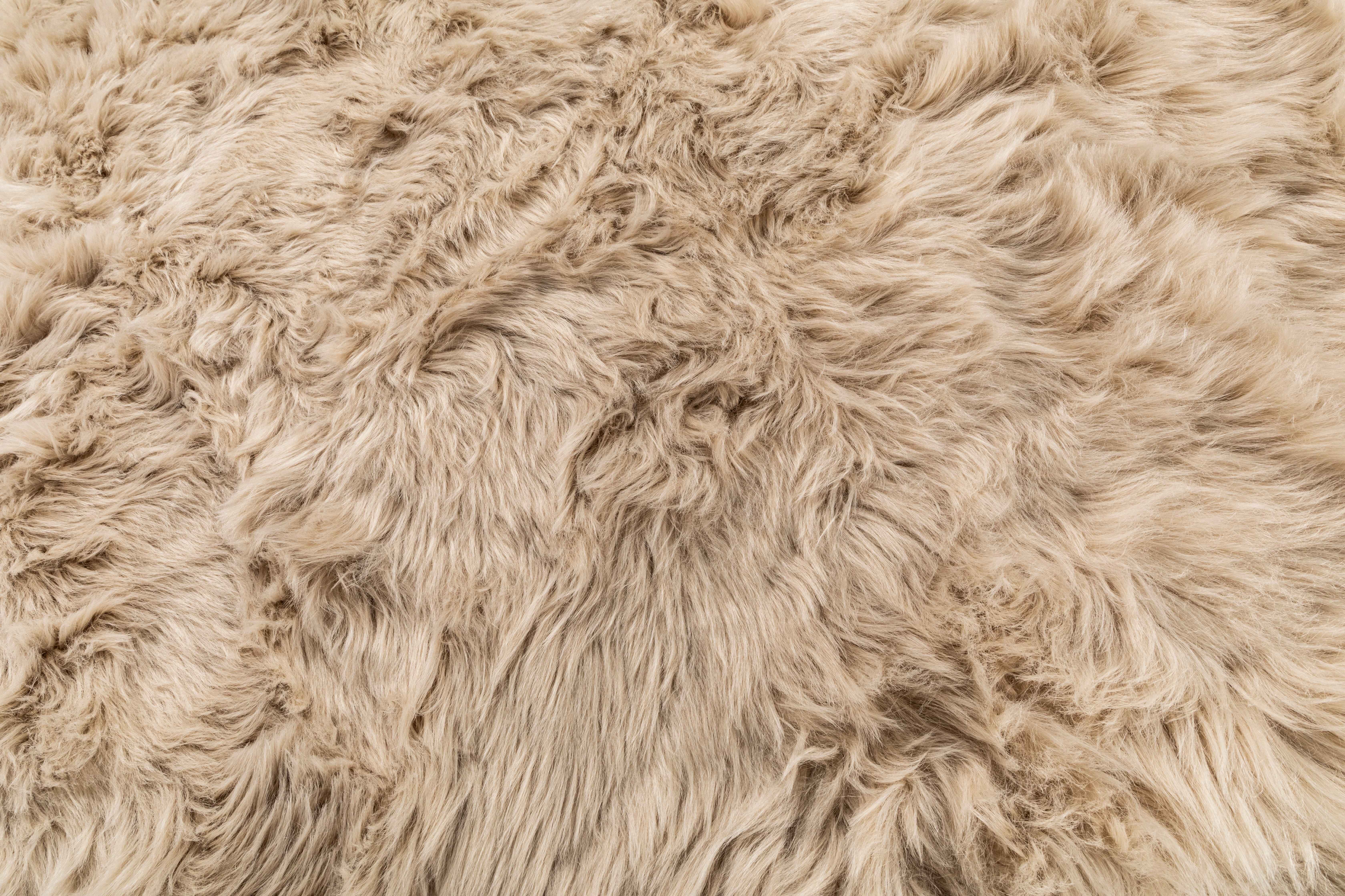 Tiseco - Wholesale Area Rug - Carpet SHEEPSKIN 180x270 cm
5