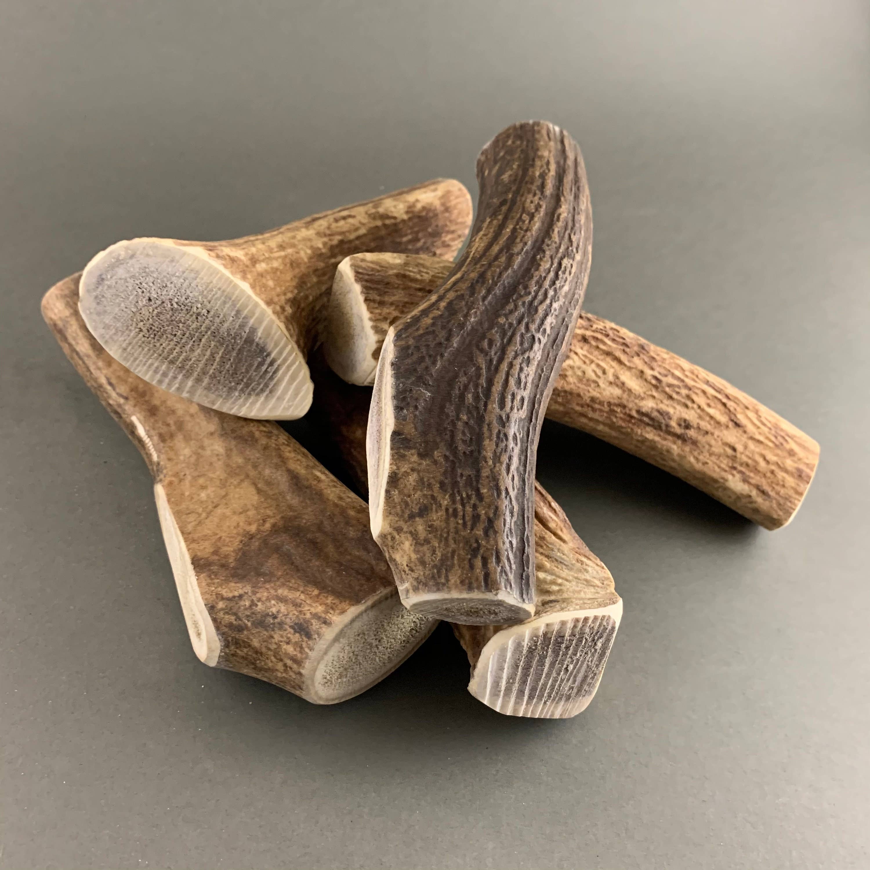 Pawsome Pet Toys - Wholesale Pet Chew Toy - Dog - L size WHOLE Natural deer antler2