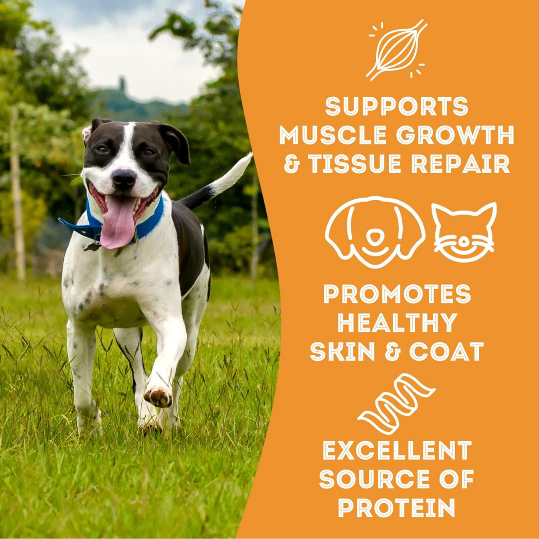 The Granville Island Pet Treatery (USA) - Wholesale Pet Treats - Dog - Pork & Cheese Soft Dog Treats: For Puppies and Seniors6