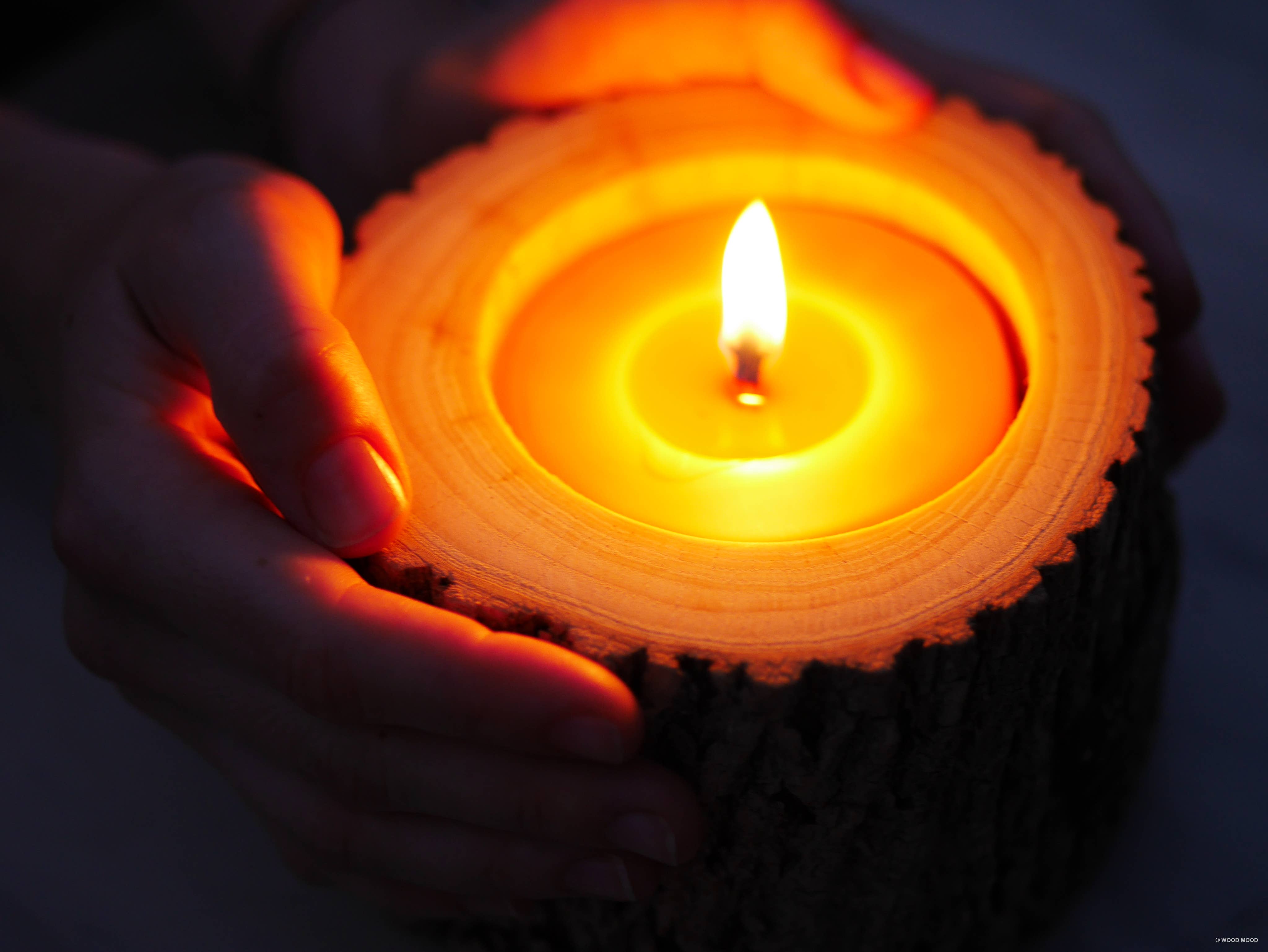 WOOD MOOD - Wholesale Jar/Filled Candle - Rocky Patio | interior candle with pine tree essential oil16