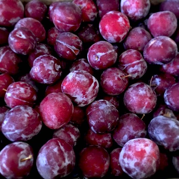 K's EUROPEAN JAMS LLC – Engroshandel Marmelade – Pflaumenmus (tysk stil krydret blomme smør) 5.5oz