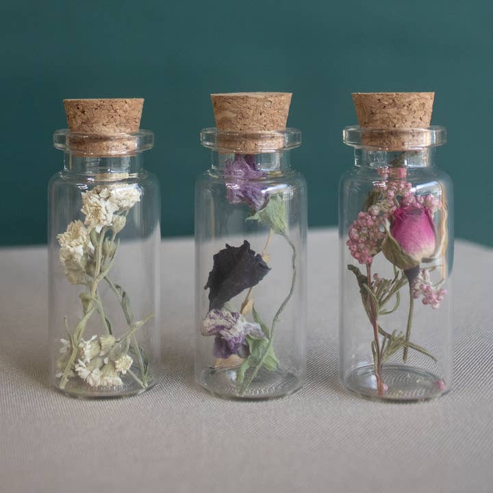 Fernseed - Wholesale Dried/Pressed Flowers - Mini Dried Flower Vials0