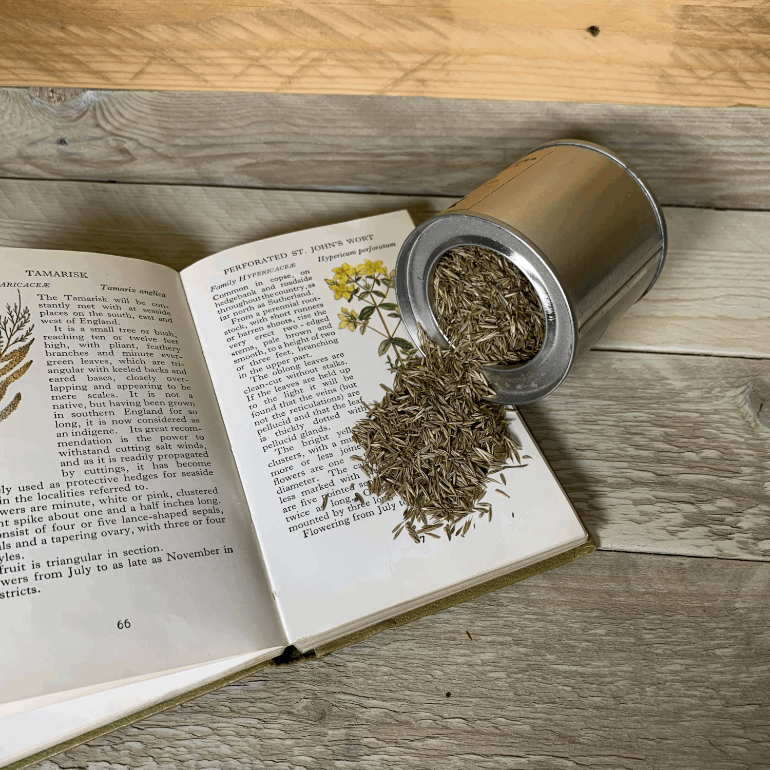 Arty Bee Designs - Wholesale Birthday card - Meadow Seeded Birthday Card2