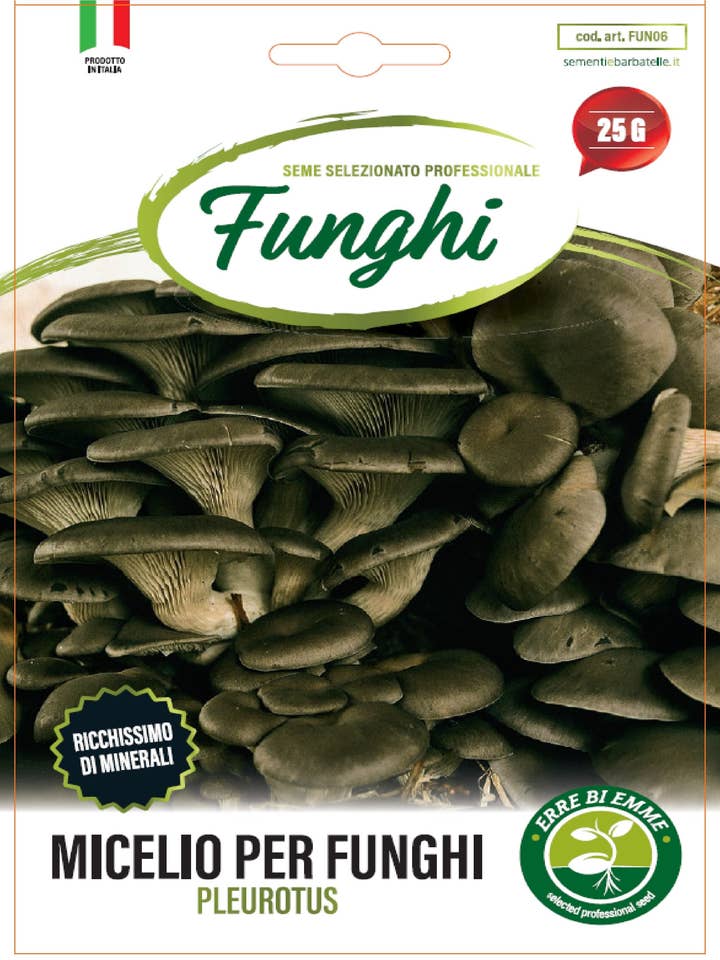 Mycelium for Pleurotus Mushrooms for wholesale by Sementi & Barbatelle