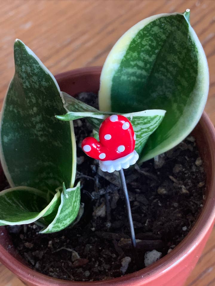 Pau de planta Mitten por atacado de Annie Did It!