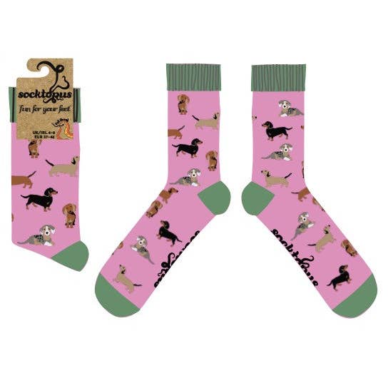 Socktopus - Wholesale Socks - Unisex - Sausage Dog Socks - Dasching Around 25