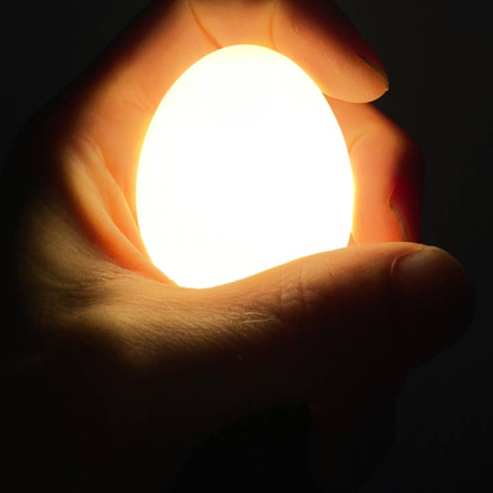 Egglamp - Wholesale Light Bulb/Puck - Egglamp Brown | Lightbulb made from real Egg1