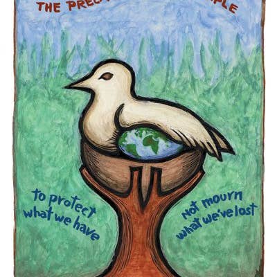 Ricardo Levins Morales Art Studio - Wholesale Stationery/Notecard Set - Conscious Critters Card Pack - Set of 121