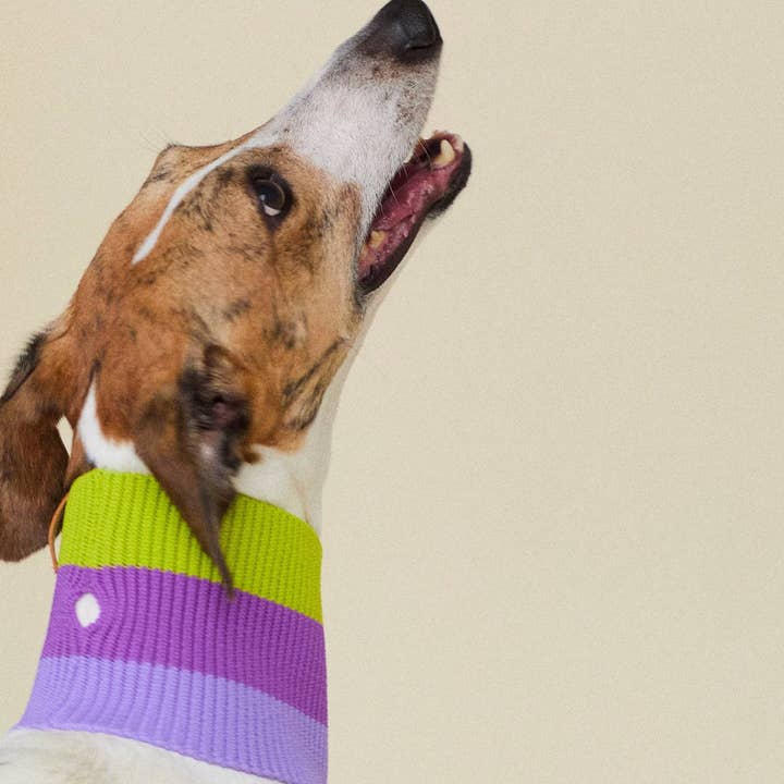 VIOLA SPRING THE GLOW LOOP (violet) for wholesale on Faire3