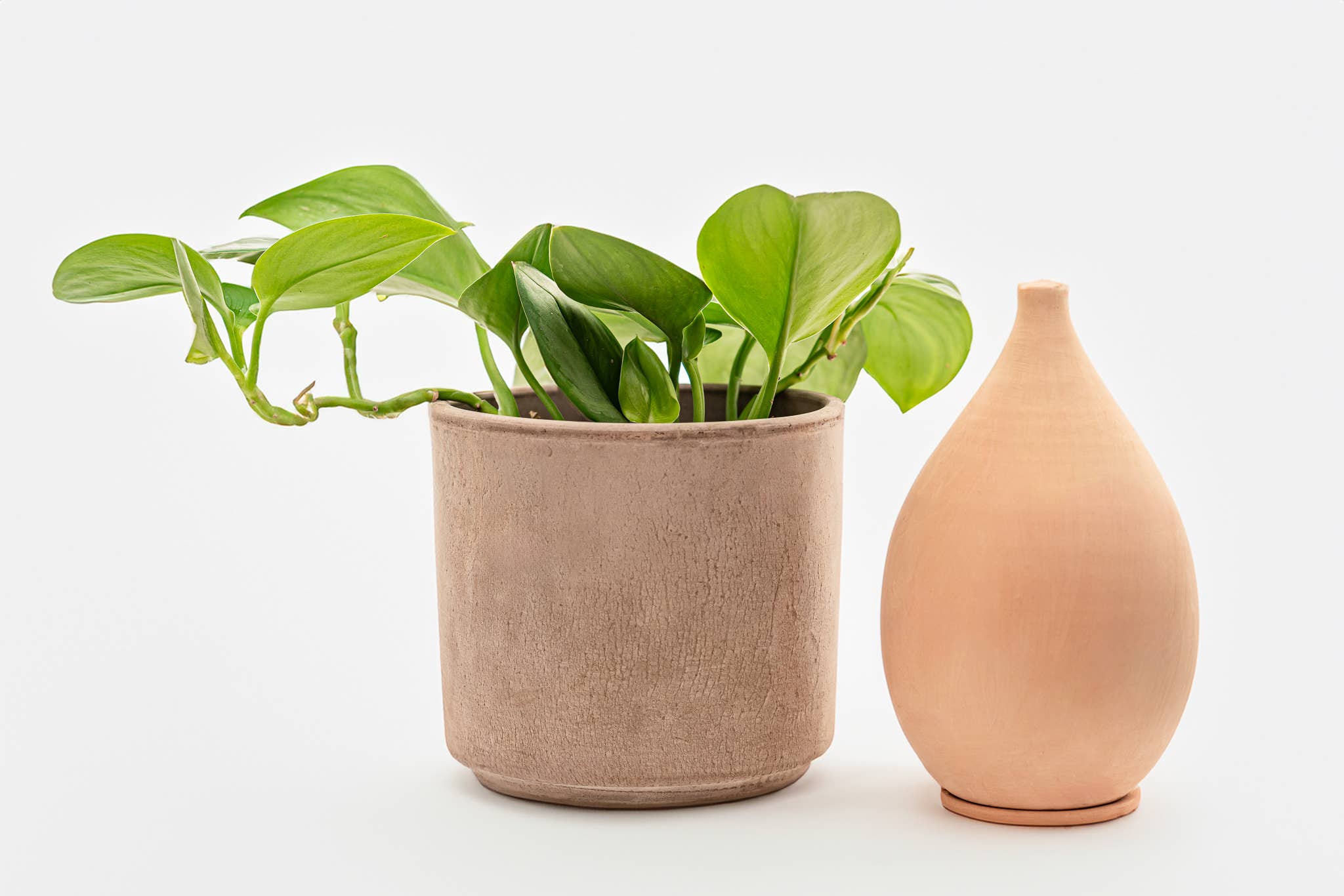 LUTOYA CREATIV - Vendita all'ingrosso Annaffiatoi - Grande vasca per irrigazione ecologica - Lutoya Original - 70 cl2