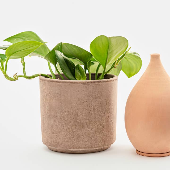 LUTOYA CREATIV - Vendita all'ingrosso Annaffiatoi - Grande vasca per irrigazione ecologica - Lutoya Original - 70 cl2