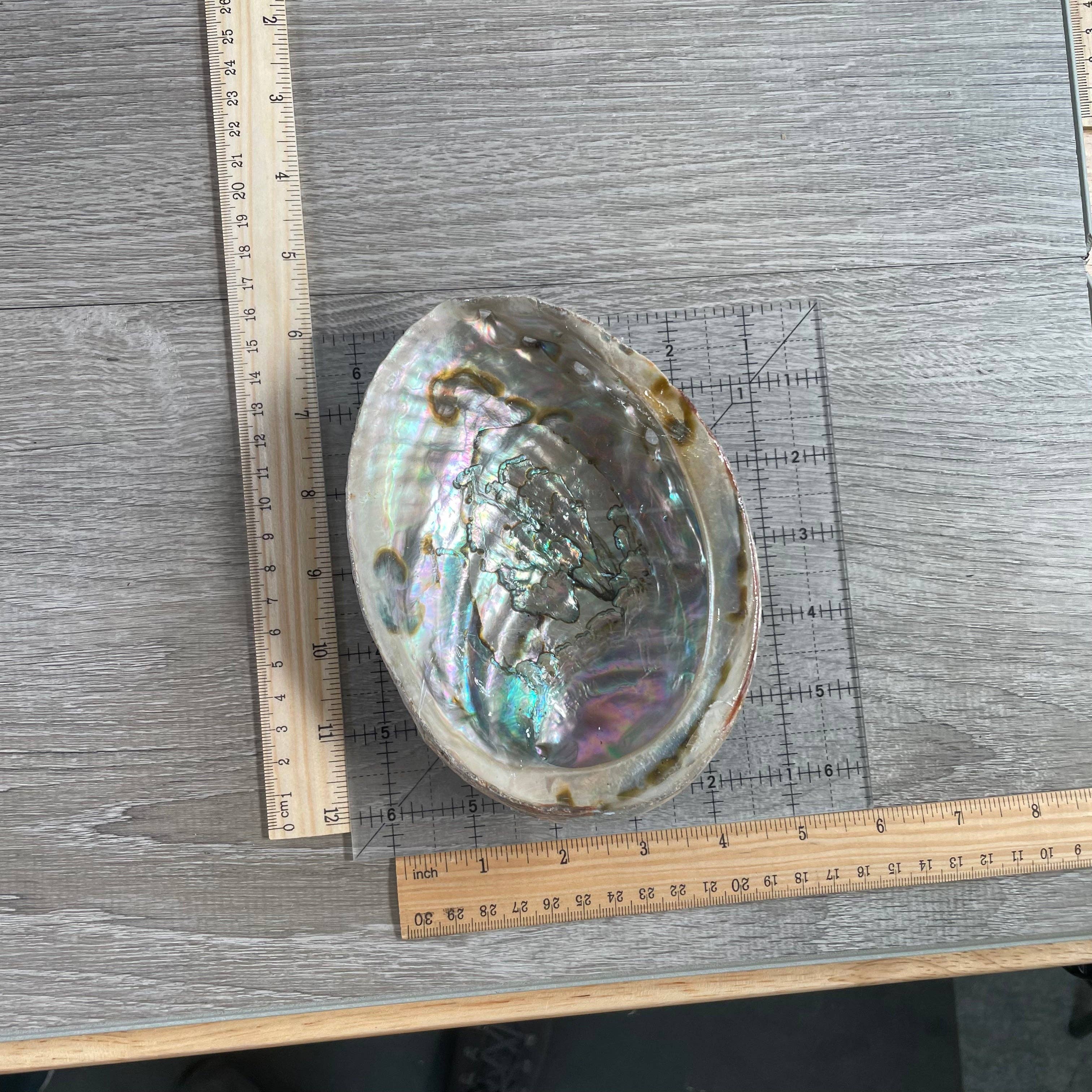 Keystone Crystals - Wholesale Smudge Plate - Shells for Smudging2