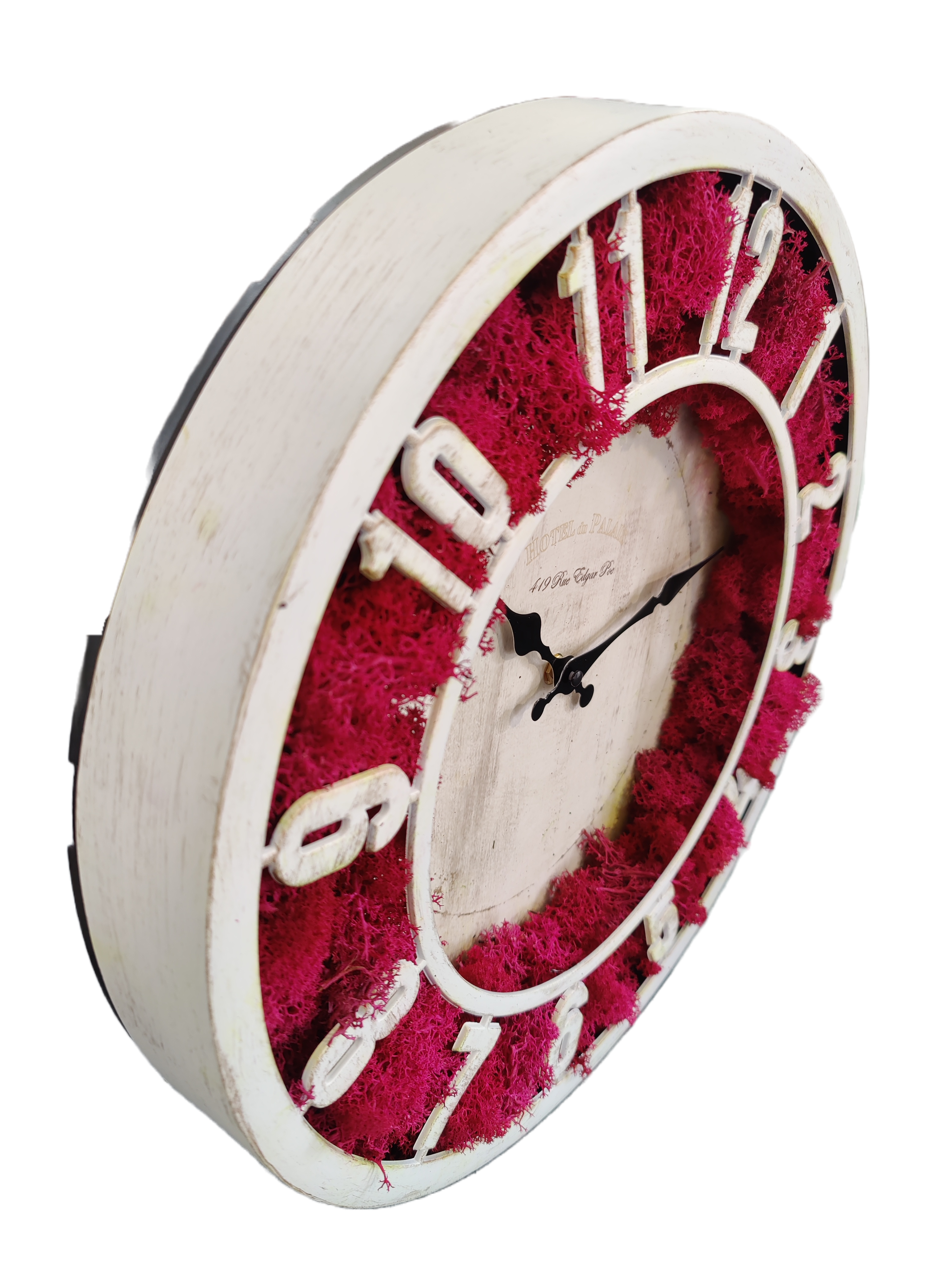 Moss House – wholesale Live plant – Reindeer Moss Stabilized Lichen Fuchsia by MossHouse5