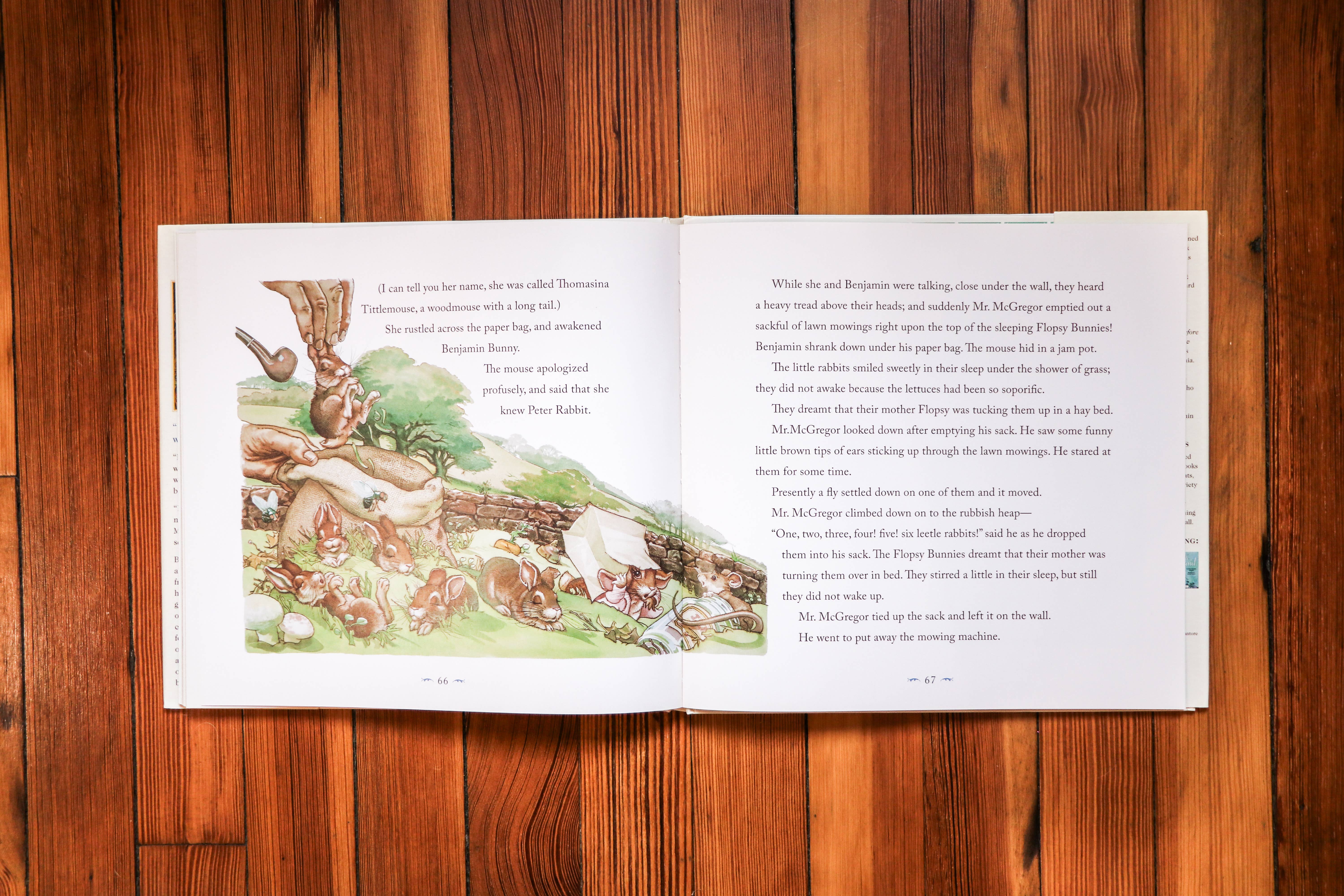 HarperCollins Focus - Wholesale Preschool Book (3-5) - The Classic Tale of Peter Rabbit Hardcover: The Classic Ed5