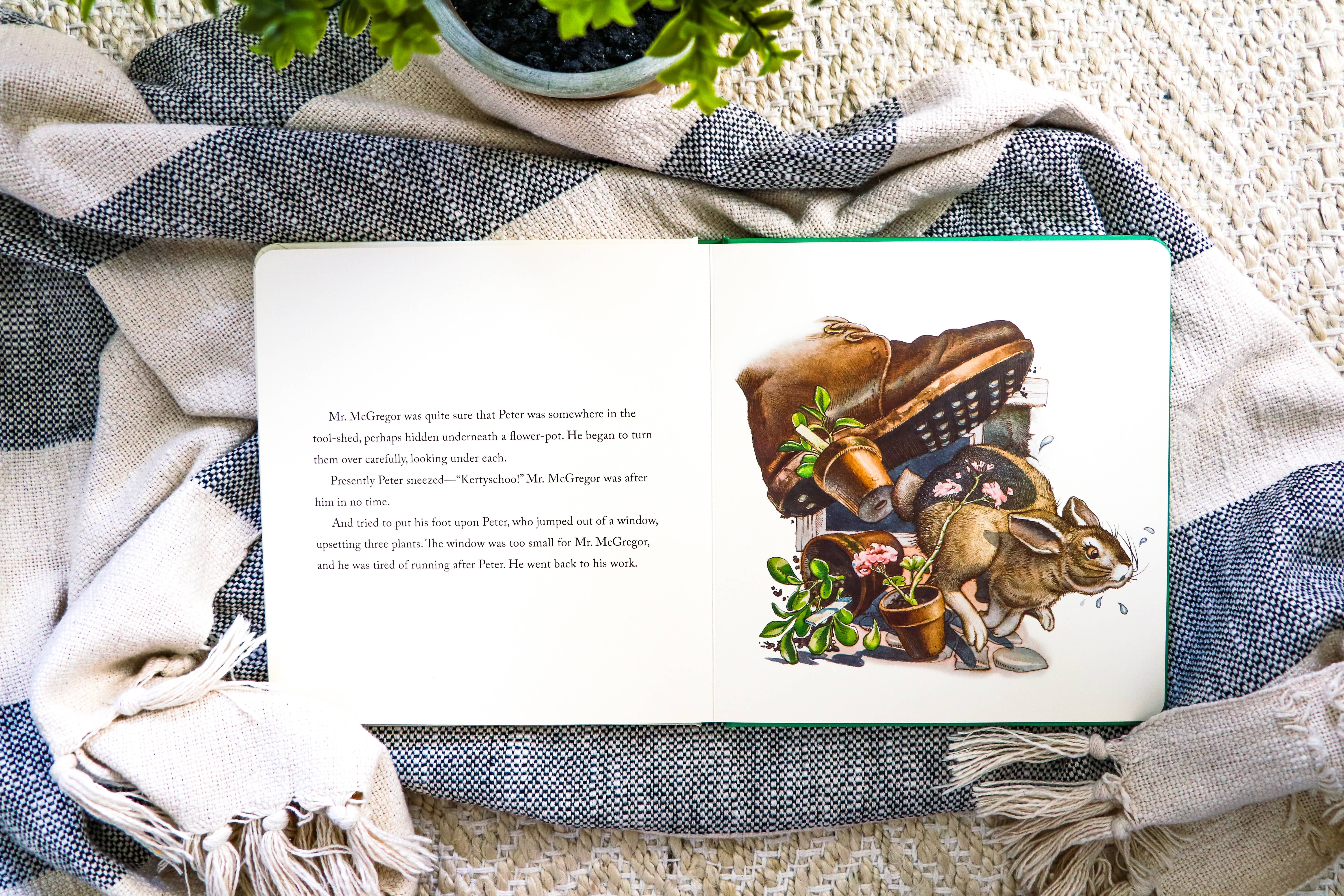 HarperCollins Focus - Wholesale Baby & Toddler Book (0-2) - The Peter Rabbit Oversized Board Book2