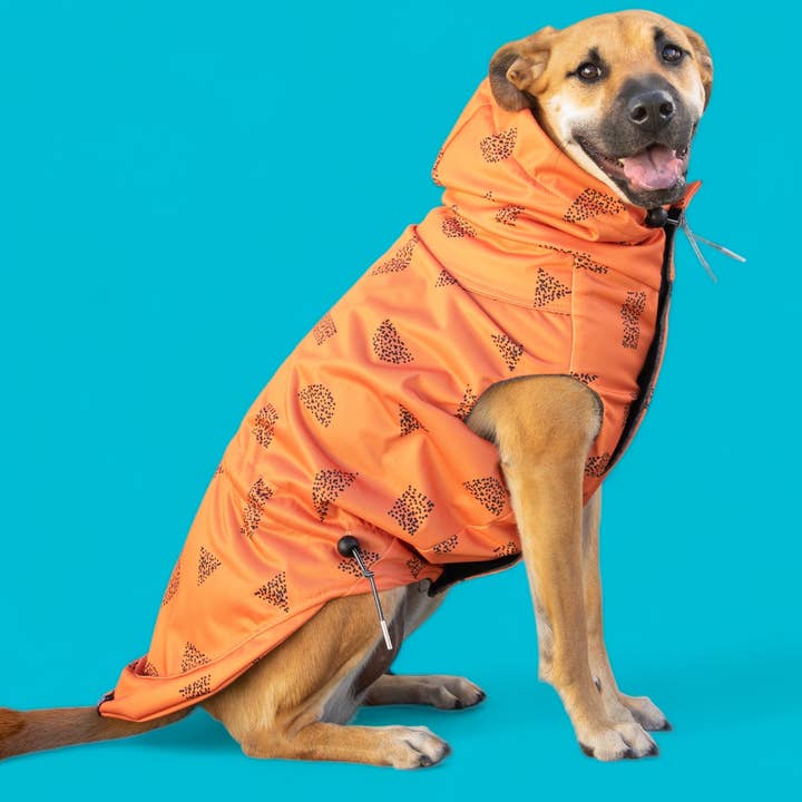 The Arcade - Raincoat for wholesale by The Long Dog Clothing Co.