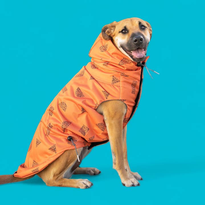 The Arcade - Chubasquero para venta al por mayor de The Long Dog Clothing Co.