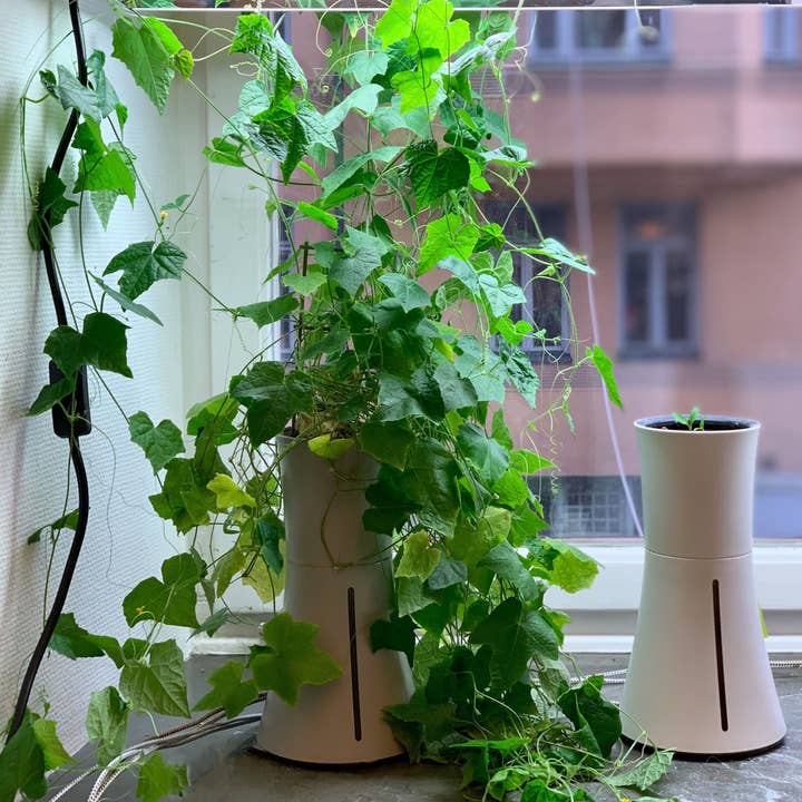 Botanium AB - Wholesale Plant pot - Botanium Self Watering Plant Pot - Ash Grey8