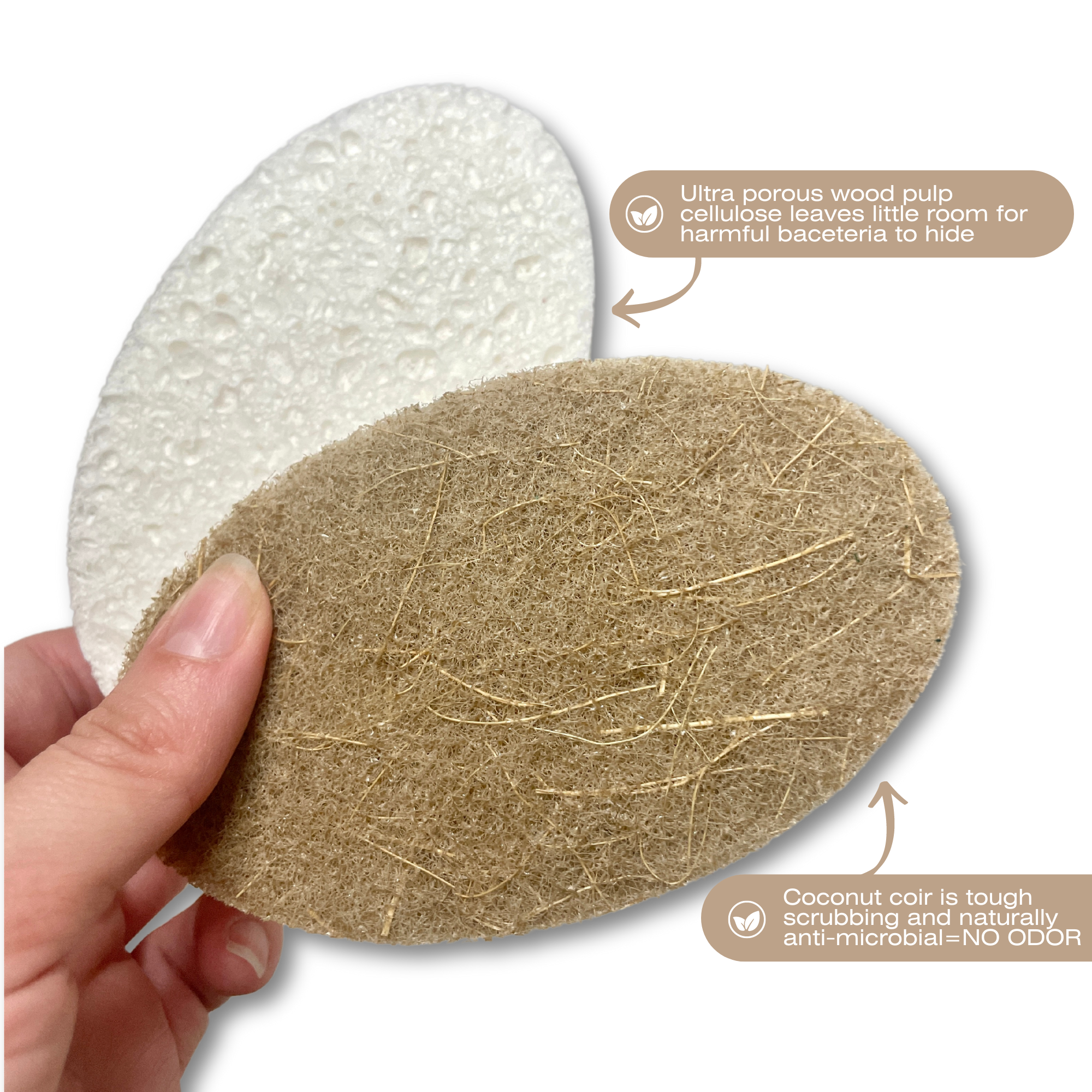Scrub Be Love - Wholesale Cleaning Sponge - Oval Kitchen Sponge- Pack Of 61